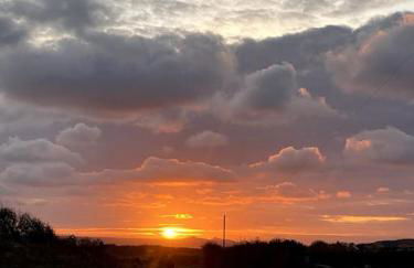 Charming coastal cottage - pet friendly! - Photo 40