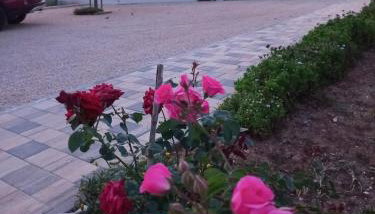 lastva 1&2 - Foto 3, Garden view