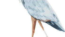 Penthaus Kranichholz - Foto 2