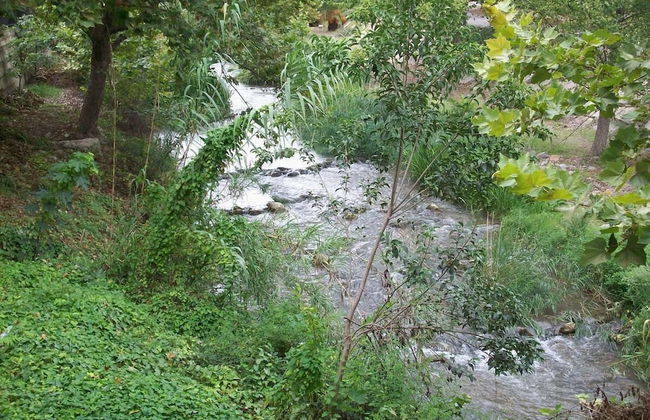 Casa Rural El Patio de las Cebollas - Foto 32