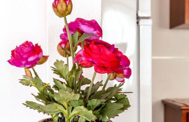 Casa do Tio Jos in Doze Ribeiras - Photo 21