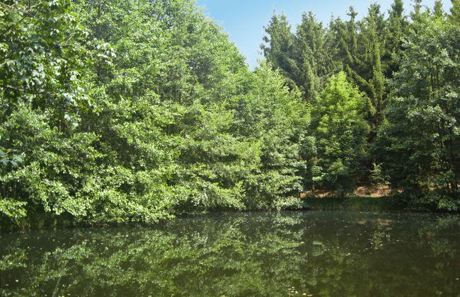 An der Eine - Foto 30