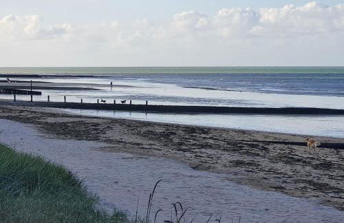 Les Pieds Dans l'Eau - Photo 41