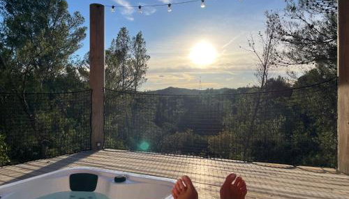 Avignon : Le Mas Cott, le paradis dans la nature - Foto 2