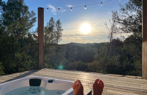 Avignon : Le Mas Cott, le paradis dans la nature - Foto 2