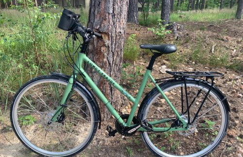 Góra Spokoju Osada klimatyczna-leśna - Foto 22