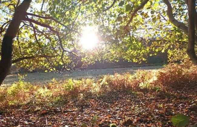 Chalet in Belgium With Stunning Views - Foto 40