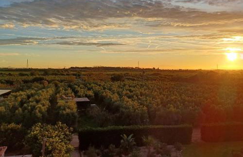 Mas Montbrio Belvedere - Foto 2