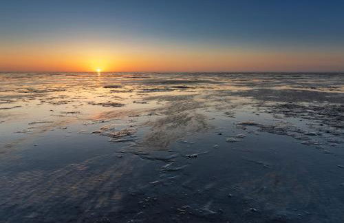 Nordseelig Ferienhäuser 6 Pers 2018 saniert Hunde erlaubt - Foto 23