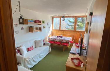 Residence “I Larici” Folgarida - Photo 8