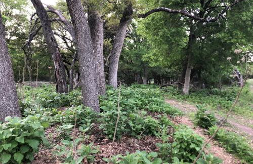 Perfect Country-Side Get-Away - Photo 33