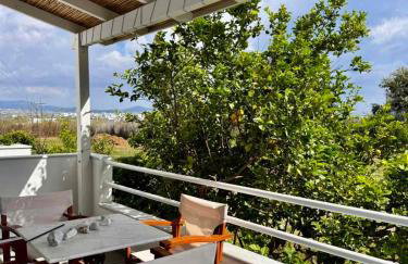 Dimora Miranda - Foto 13