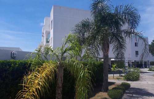 Praia da Cachoeira - Foto 5