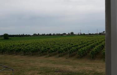 Tenuta Crescentini-ValleMura ,appartamenti con entrata indipendente - Foto 40