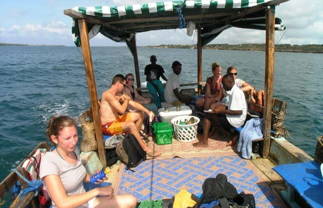Avistamiento de delfines en el Parque Nacional Marino Kisite - Foto 2