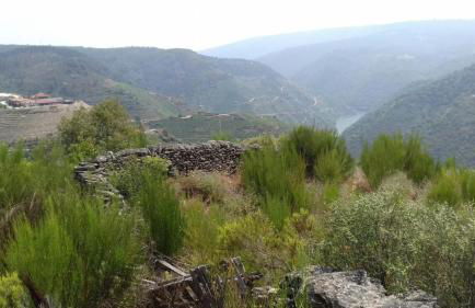 Casa do Conto - Foto 26