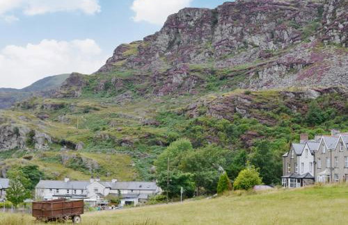 Llwyn Rhedyn - Foto 11