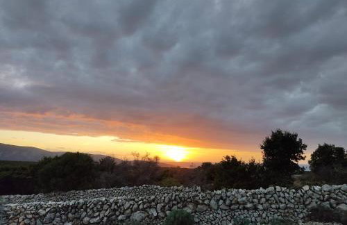 House Tuna - Foto 31