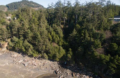 The Cedar House - Foto 22