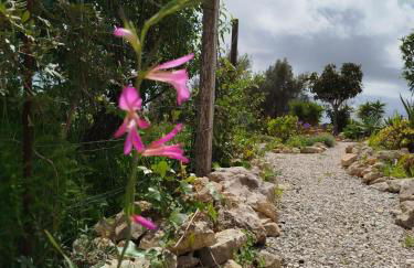Casa Oasis - Paraiso na Terra - Foto 48