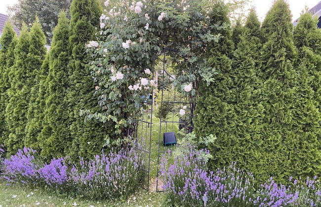 Pleasant Holiday Home Near Town Center - Foto 21