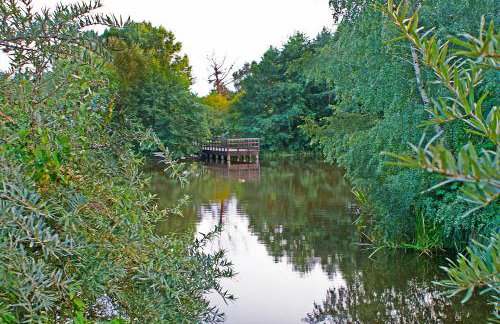 IRS ROYAL APARTMENTS Apartamenty IRS Nadmorski Dwór - Foto 46