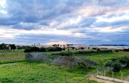 Martina's Vineyard - villa - Foto 41