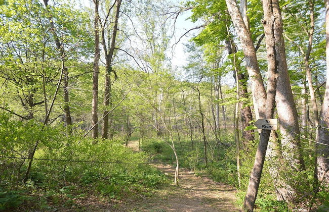Chesnutt Cabin on the Cacapon River - Foto 27