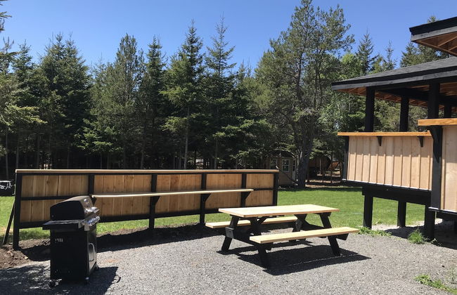 Wild Pines Cabins - Photo 30