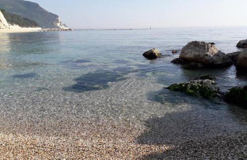 Verde Marche - Foto 35