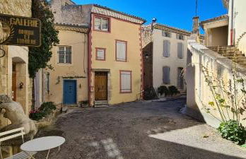 La salamandre - Foto 19