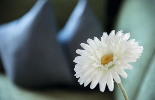 Appartements Bergheim St Andrä bei Brixen - Foto 10