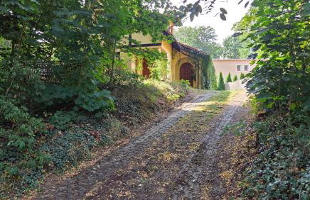 Żółty Domek nad Jeziorem Lubniewice - Foto 12