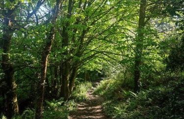 Penare Terrace in Penzance - Photo 28