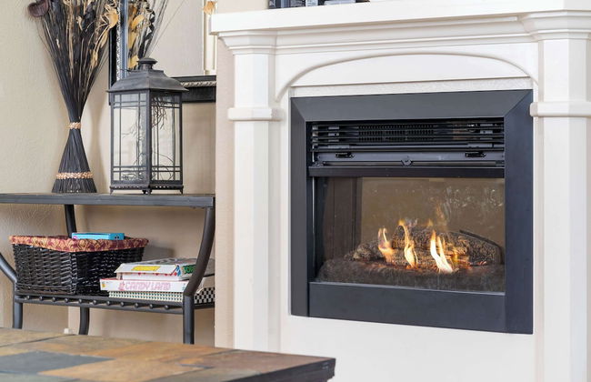 Blue Bird Hideaway - Near Silver Dollar City - Photo 23