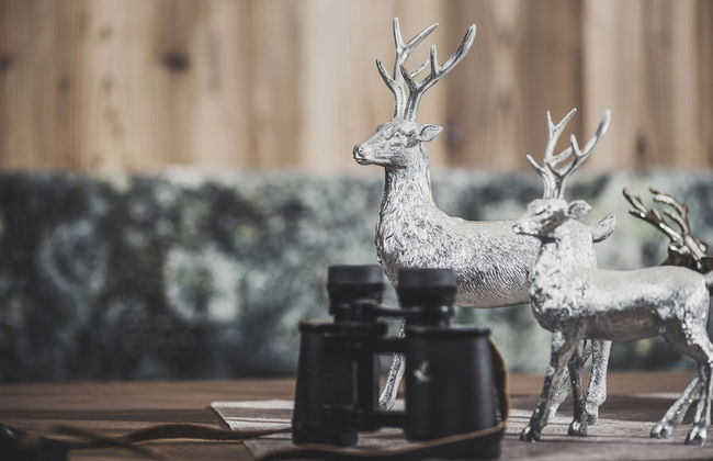 Platzhirsch Apart & Mayrhofen - Foto 19