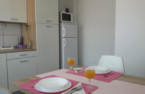 Studio apartman Toplica - Foto 4