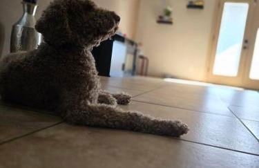 Serenity Awaits 3BR-2BA Tierra Del Este - Foto 17