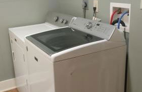 Evergreen Fog - Foto 1