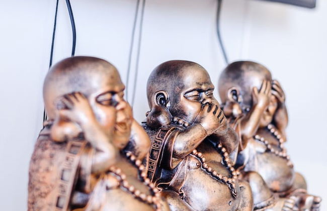 Boavista Resort - Lote 142 - Foto 69