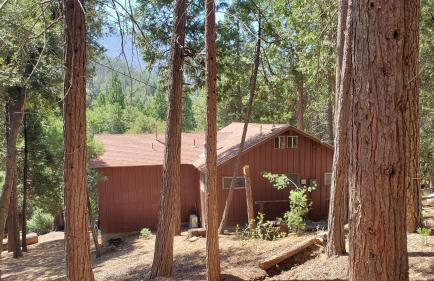 Redwood Retreat, Mountains, Adventure and Nature - Foto 39