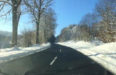 Rhöner Sternenhimmel FeWo 1 und 2 - Foto 35