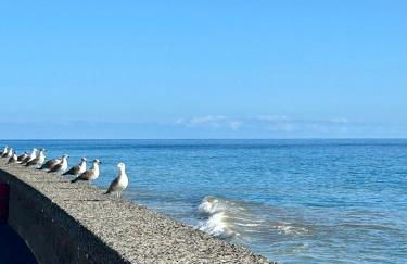 Casa Carneirinho by Olá Madeira - Foto 14