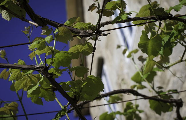 Casa de Turismo Rural Os Petroglifos - Photo 51