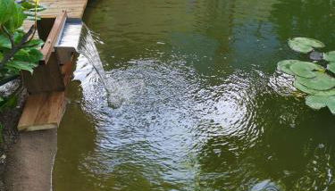 Le Mas di Ro - Foto 3, Garden