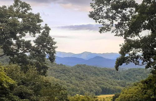 Treetops Cabin easy to Asheville with fast wifi and great view - Foto 27