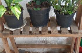 hospede na região Pampulha com garagem e churrasqueira - Foto 60