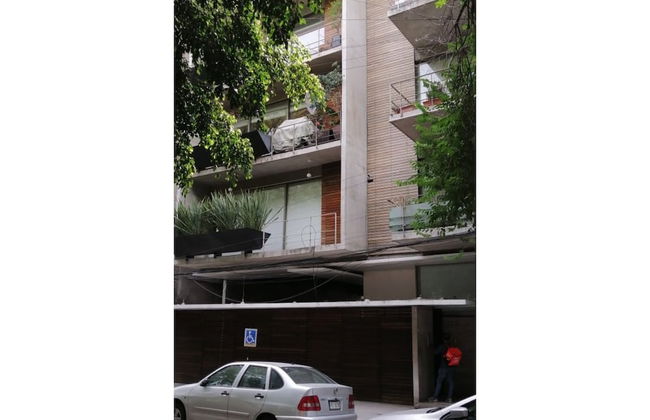 Destination Condesa @Tamaulipas Loft - Foto 19