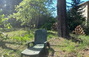 Un cabanon en Provence - Foto 4