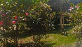 Recanto da Floresta - Foto 3, Garden